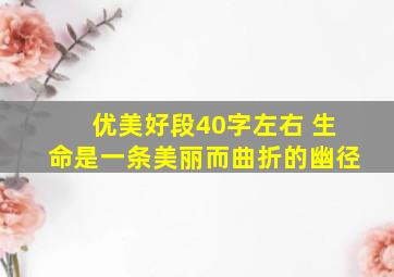 优美好段40字左右 生命是一条美丽而曲折的幽径